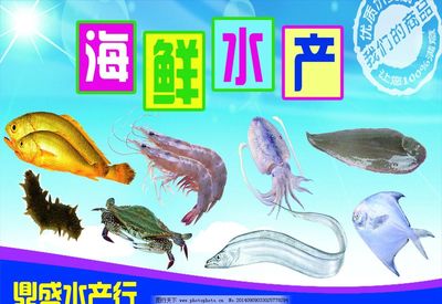 海鲜水产 从海洋到餐桌的珍馐美味