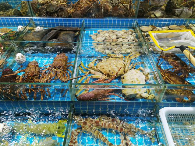 高端水产品价格探秘 为何一些水产售价如此昂贵？