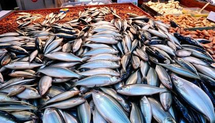 淡水水产品种类概览