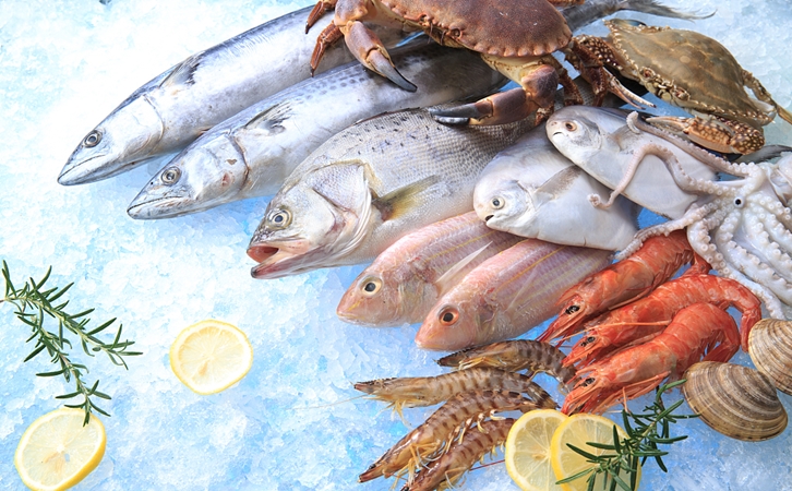 上海水产品进口报关所需资料详解