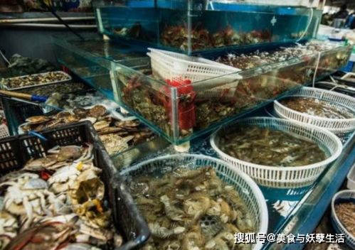 龙虾情深 中非情谊跨越海陆的暖心买卖