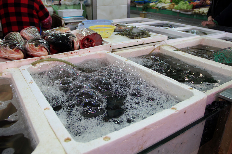 菜市场生鲜水产鱼类 从市井烟火到餐桌美食的鲜活图景