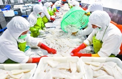 福建晋江水产加工出口快速增长，加工贸易成发展新引擎