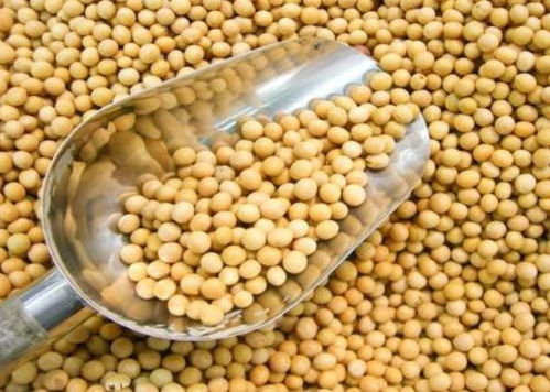 宁波进口食品排行榜揭晓 水产品荣登榜首，吃货最爱一览