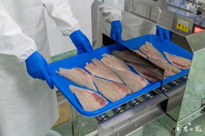 开辟“预制菜”新赛道，大黄鱼游向水产品市场蓝海