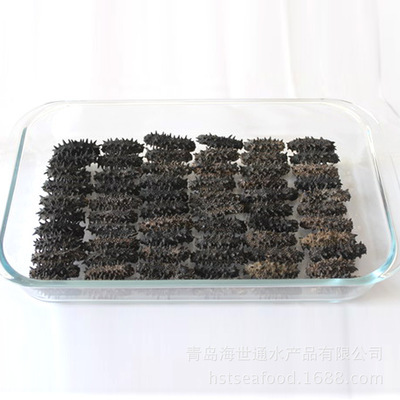 青岛厂家特价批发进口野生纯淡干6排刺红参 高品质干制水产品的首选